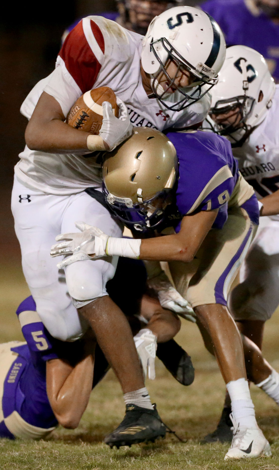 Sabino vs Sahuaro